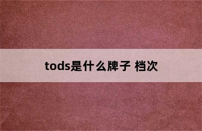 tods是什么牌子 档次